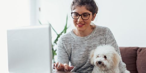 Girl with dog looking at laptop